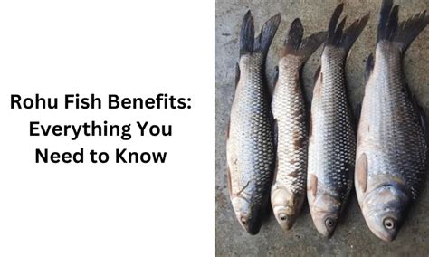 Rohu Fish: Health Benefits and Side Effects .